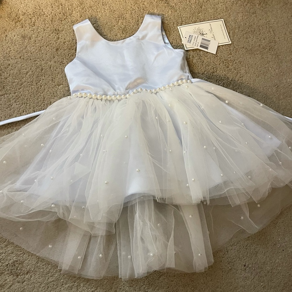 Blue silk and tulle formal dress with pearls NWT